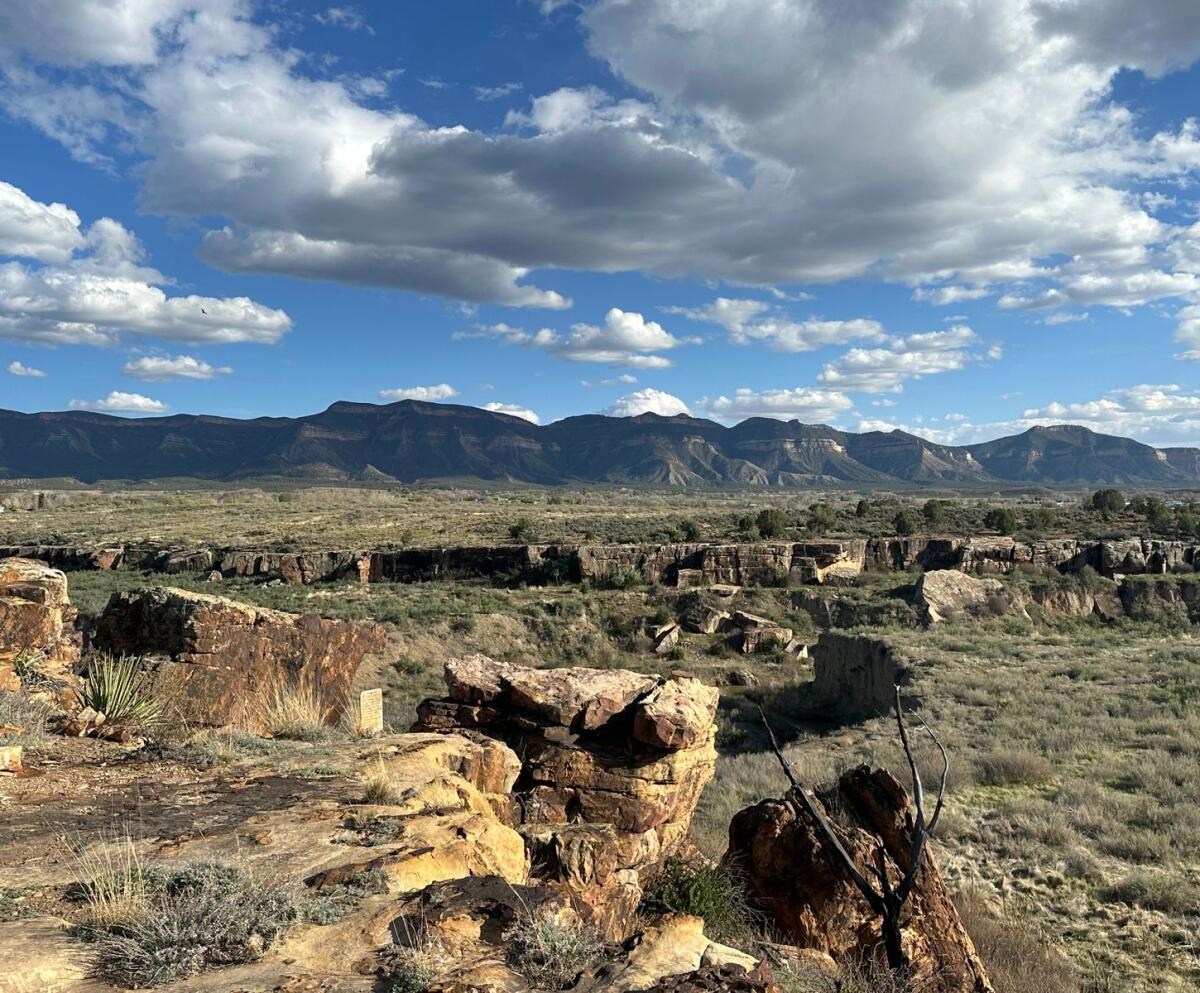 Shingled hedgehogs and lemonade berries? Hikers find edible oddities at Hawkins Preserve in Cortez
